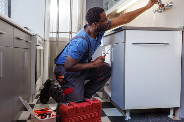 Best Local Plumber Services  in Burns Harbor, IN